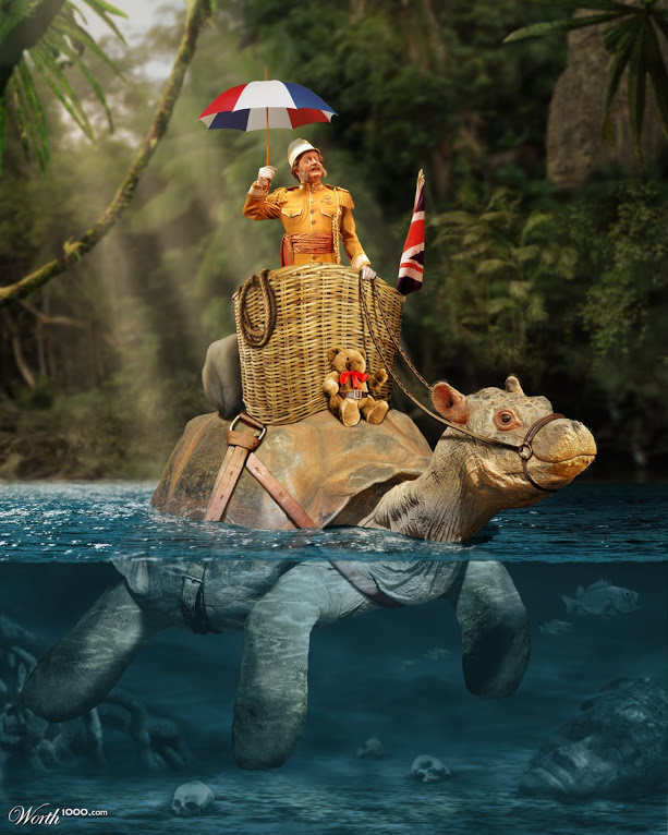 turtle safari.jpg
