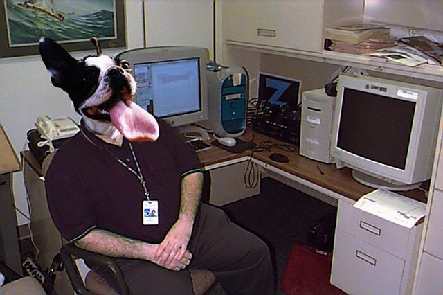 ugh.jpg