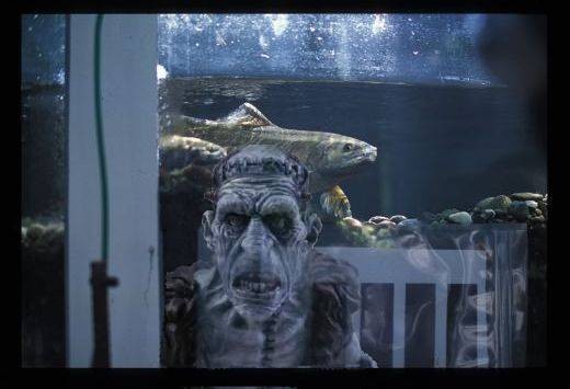 uglyfish.JPG