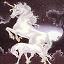 Unicorn5.JPG