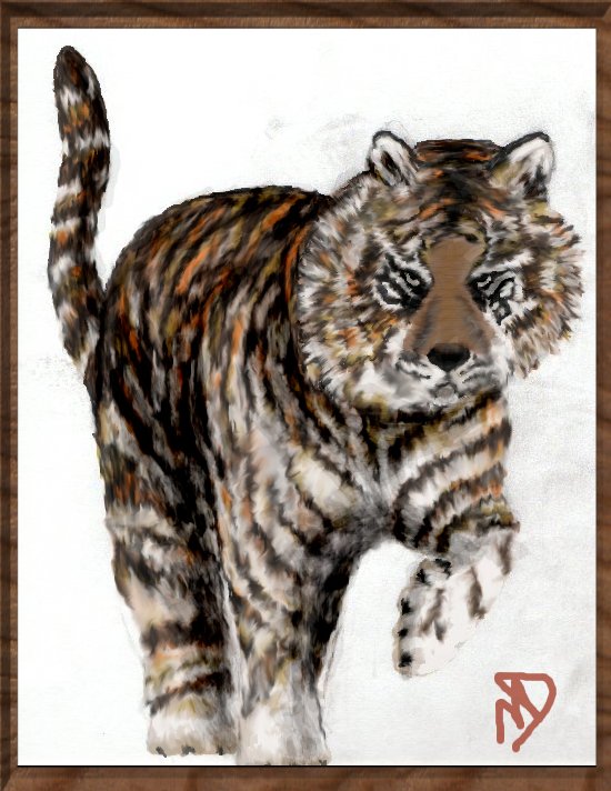 valeria - tiger.jpg2.jpg