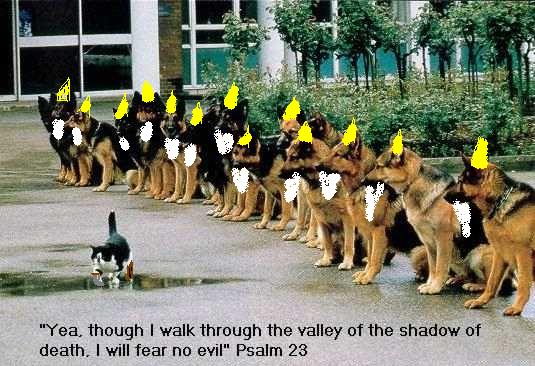 valleyofgnomedogs.jpg