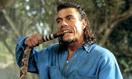 vanmullet.jpg