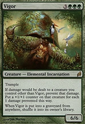 vigor-17603.jpg