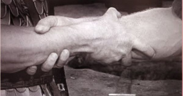 Viking Handshake.jpg