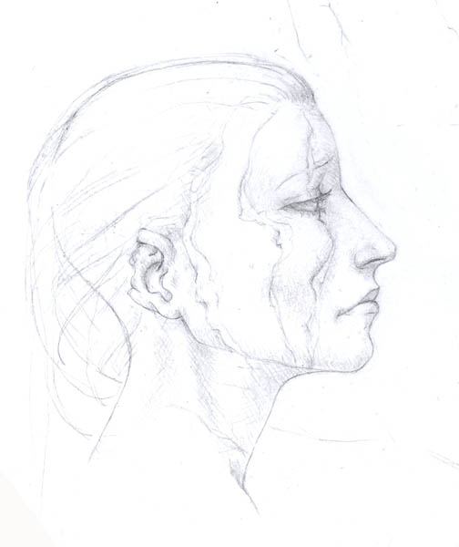 Virelai profile.jpg
