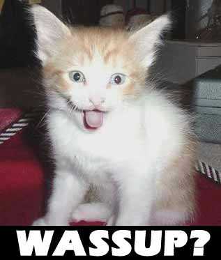 wassup.jpg