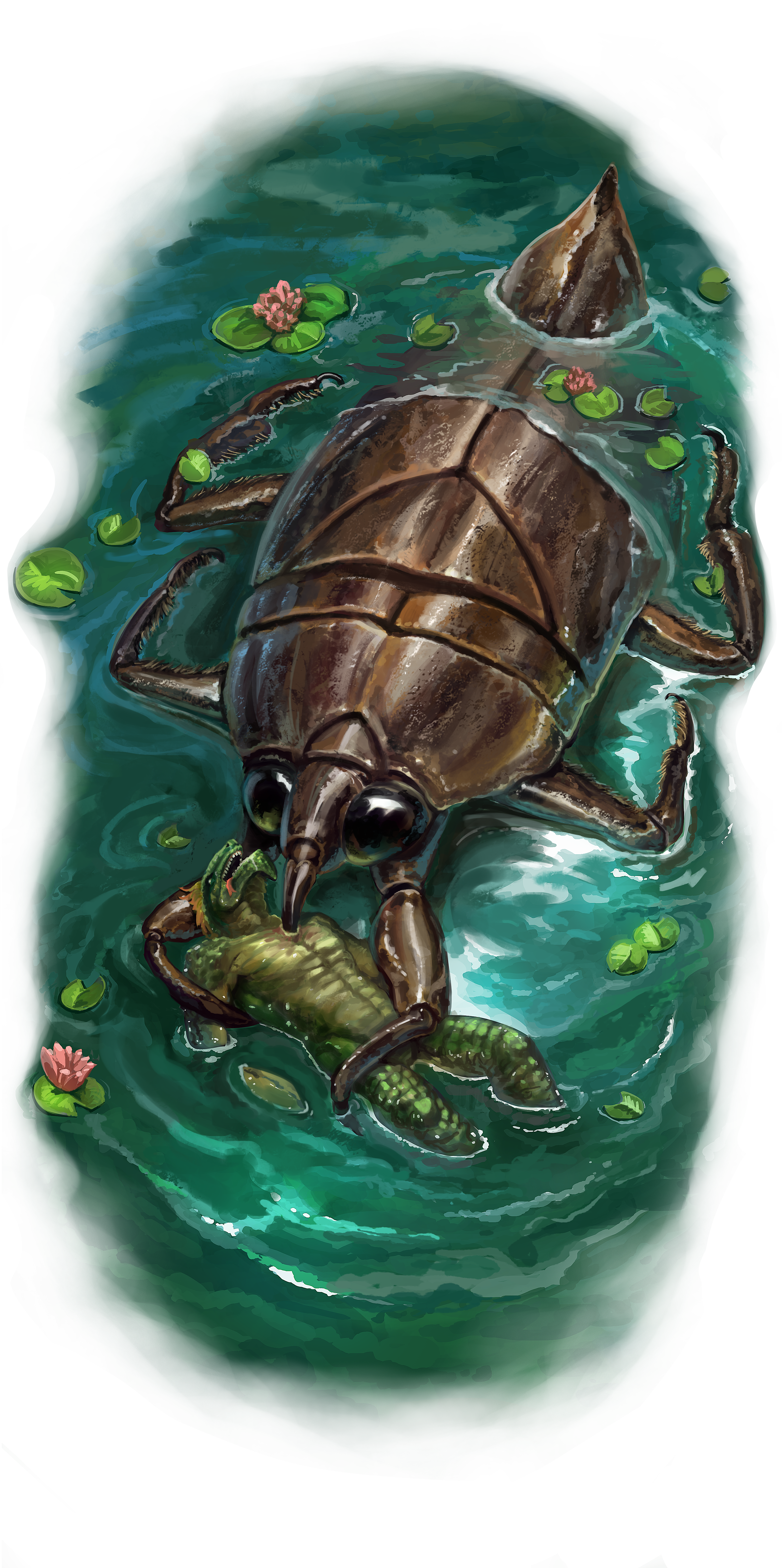 WaterBeetle_Dragonix.png