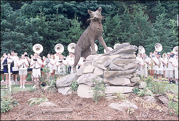 wcu-cat.jpg