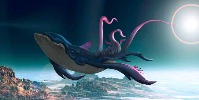 whale.jpg
