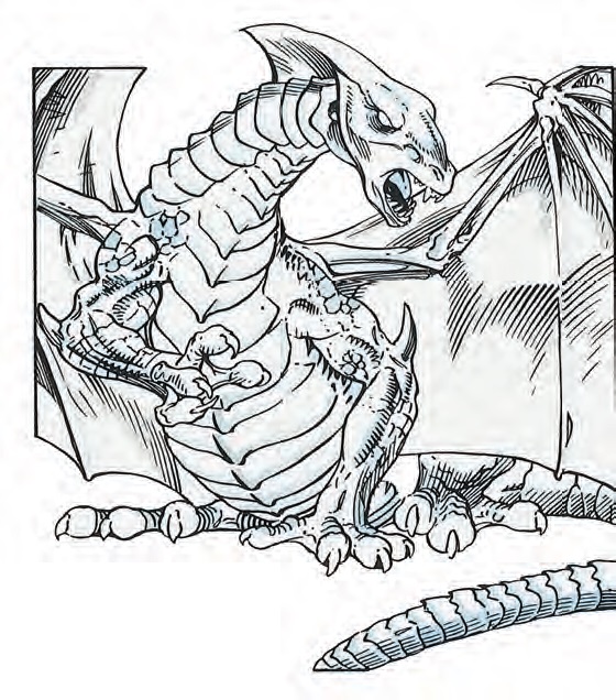 White Dragon.jpg