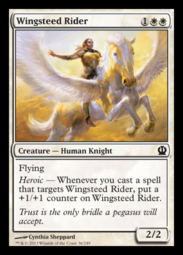 wingsteedrider.jpg