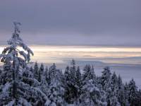 WIntertimesm.jpg