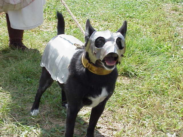 woof.JPG