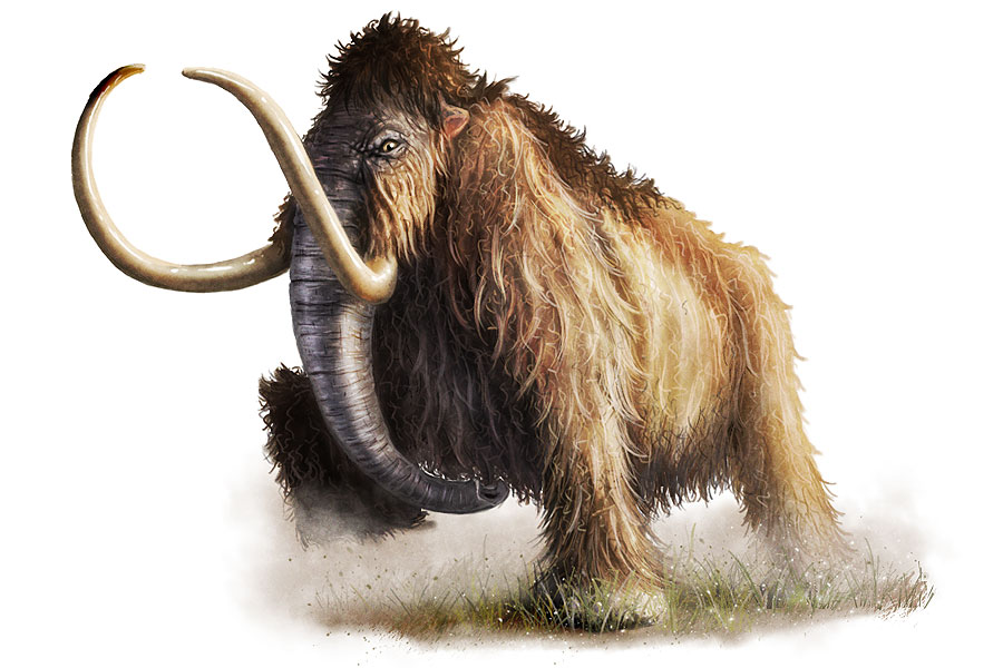 wooley_mammoth_by_critical_dean.jpg