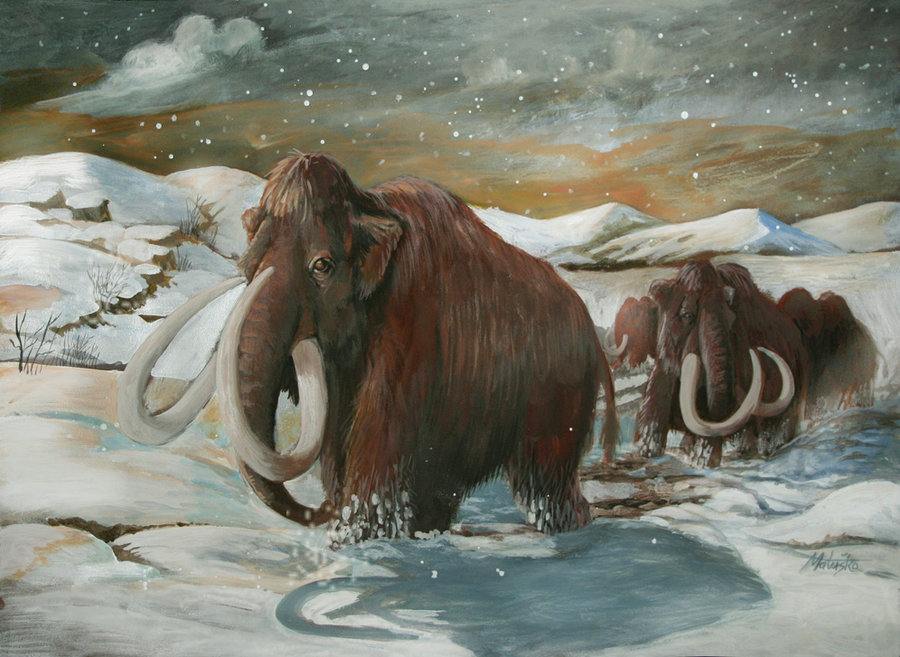 wooly_mammoth_final_by_sedeslav.jpg