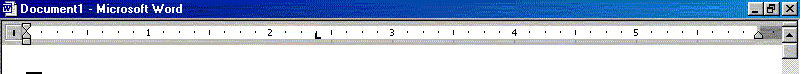 word screen shot.gif