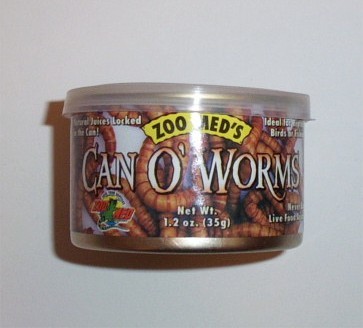 worms.JPG