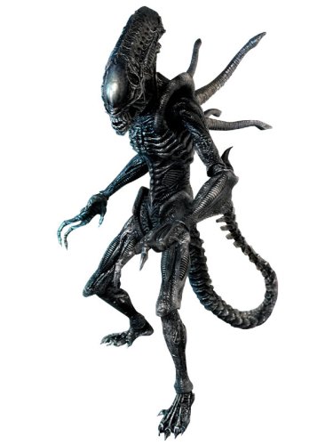 xenomorph.jpg
