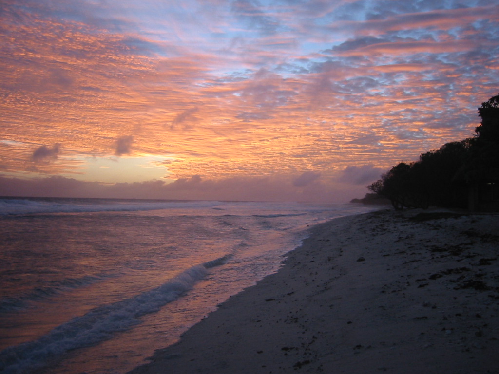Xmas-Beach.jpg