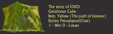 yellowbelt-r1-oxo.jpg